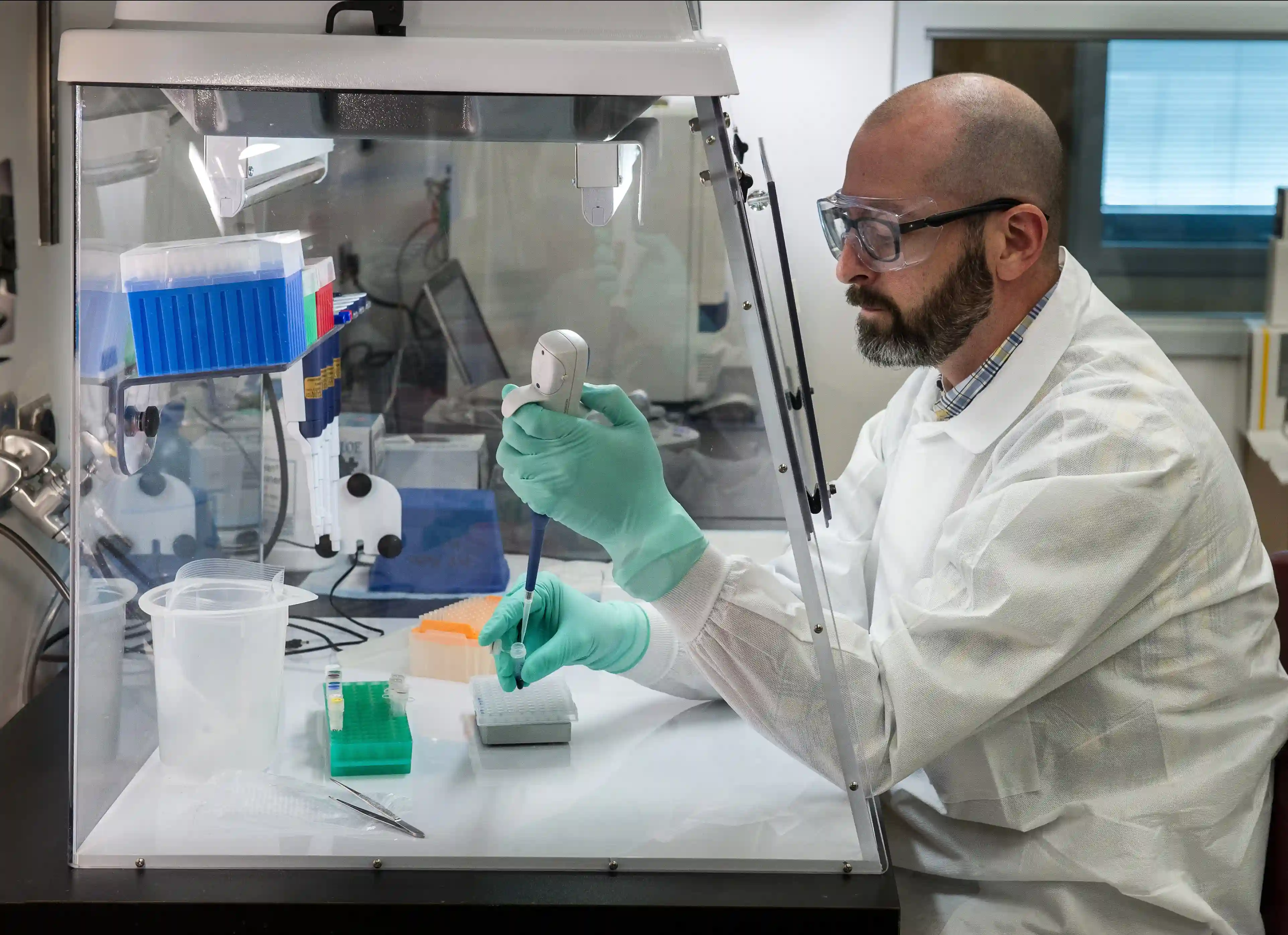 Understanding the Function and Applications of Peptides in Modern Research