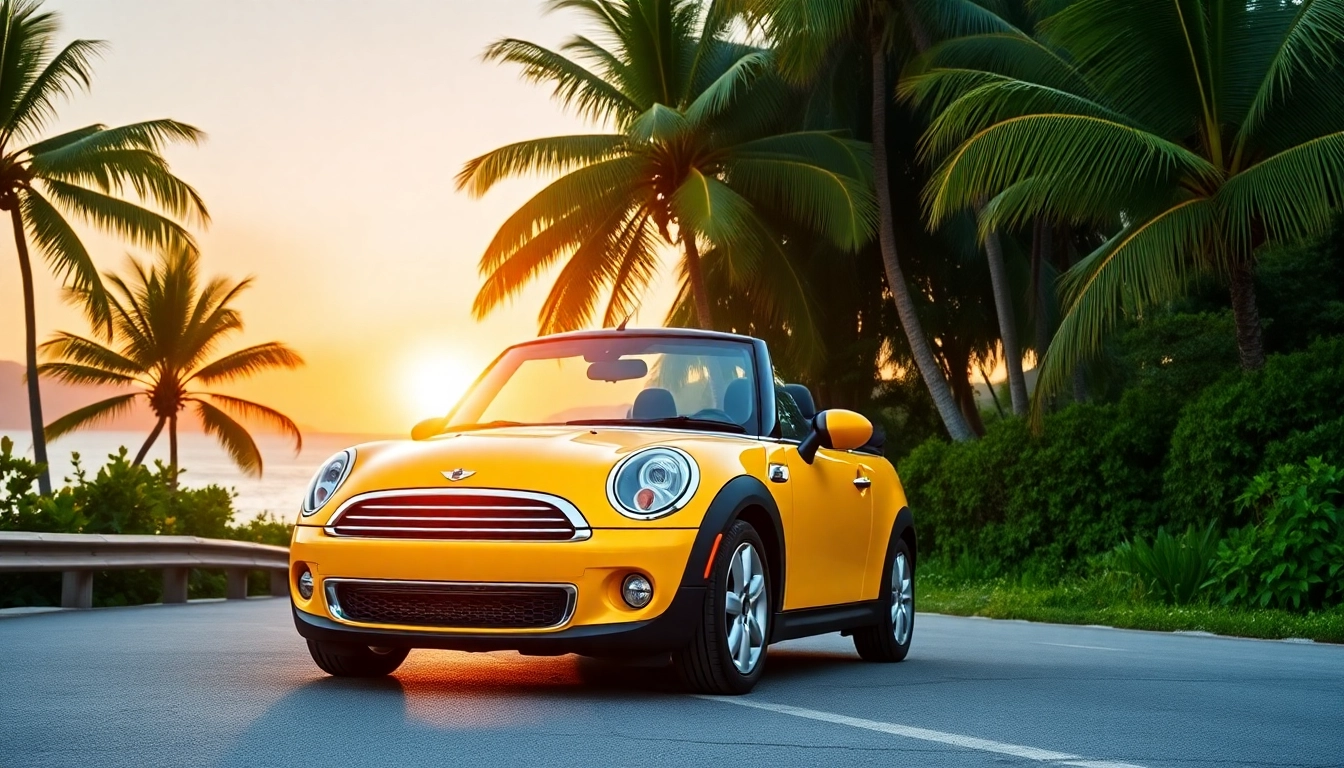 Renting a Mini Cooper Convertible St Barths: Your Guide to Island Driving Adventures