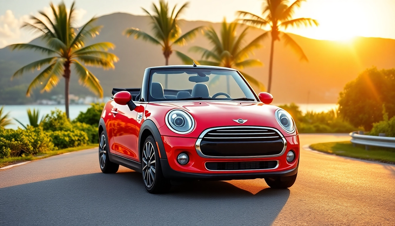 Experience the charm of a Mini Cooper convertible st barths parked along a stunning coastal road.